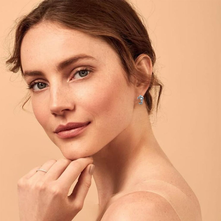 S925 Sterling Silver Moissanite Hoop Earrings For Women
