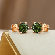 2pc Moissanite Set –  Earrings in 925 Silver